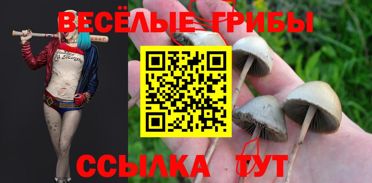 Галлюциногенные грибы мицелий  Вход с VPN  Севастополь 