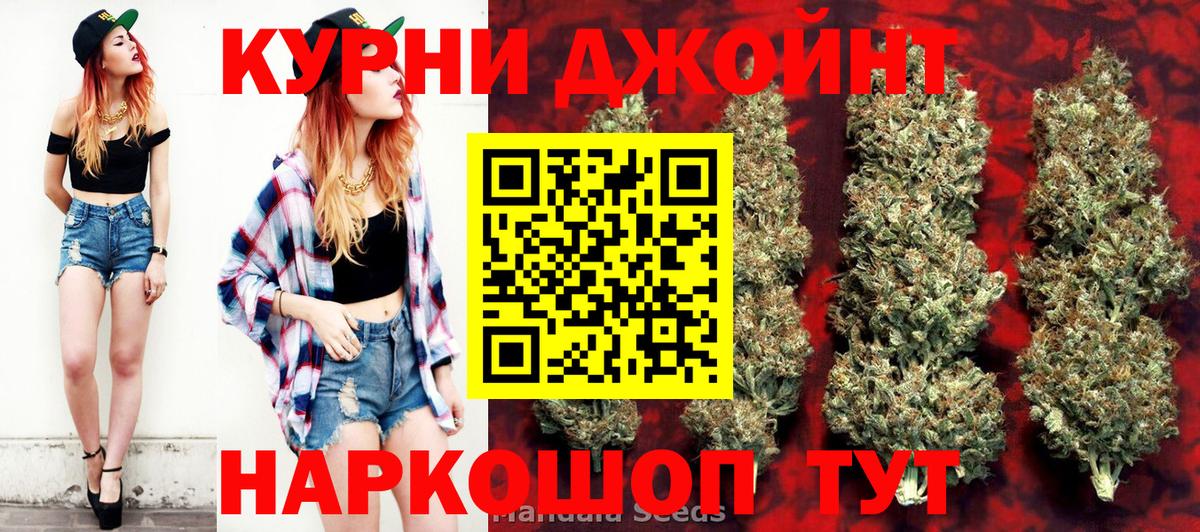 Севастополь  Конопля сатива  Вход с VPN  Каннабис марихуана  Марихуана сатива  Каннабис OG Kush 